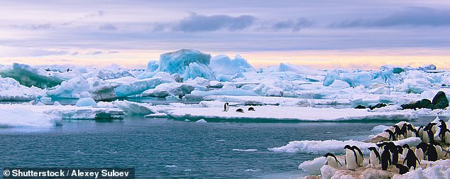 The study found that the gradual melting of icebergs in Antarctica away from the frozen continent could be the driving force that plunges Earth into a new ice age.  Stock image