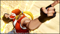 Terry Bogard onthult foto # 4