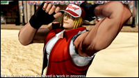 Terry Bogard onthult foto # 2